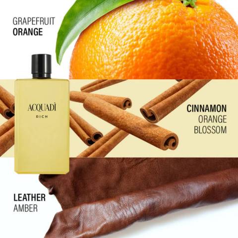 Acquadi' Rich Confezione Regalo Uomo Profumo Eau De Toilette Spray 100 Ml e Eau De Toilette Spray 30 Ml