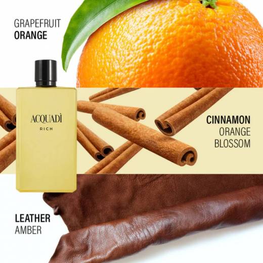 Acquadi' Rich Confezione Regalo Uomo Profumo Eau De Toilette Spray 100 Ml e Eau De Toilette Spray 30 Ml