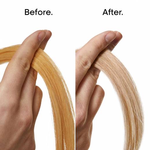 L'Oréal Professionnel, Shampoo Professionale per Capelli Bianchi o Grigi, Colore Brillante, Capelli Morbidi e Luminosi, Arricchito con Magnesio e Agenti Anti-Giallo, 500 ml