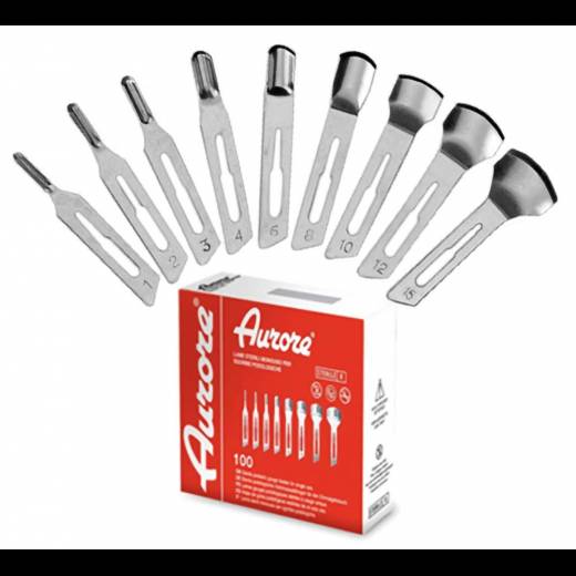 100 LAME SGORBIA BISTURI DA RICAMBIO MANICURE E PEDICURE AURORE PROFESSIONALE ESTETISTA (N° 1)